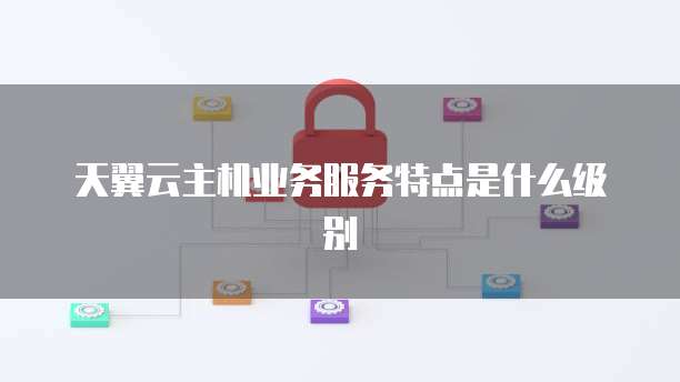 天翼云主机业务服务特点是什么级别