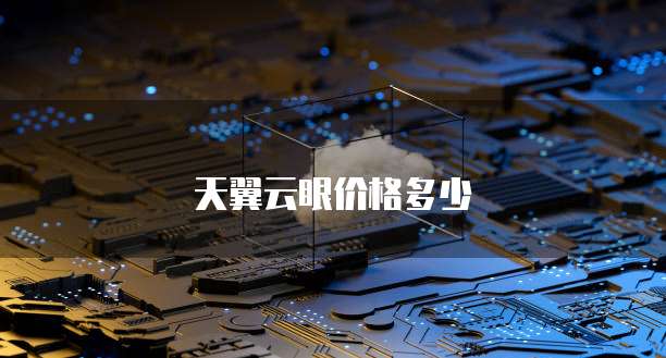 天翼云眼价格多少
