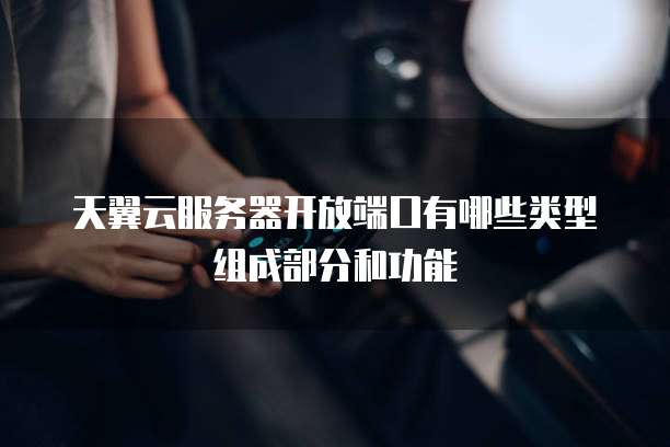 天翼云服务器开放端口有哪些类型组成部分和功能