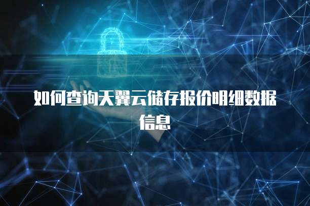 如何查询天翼云储存报价明细数据信息