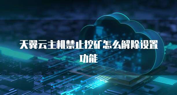 天翼云主机禁止挖矿怎么解除设置功能