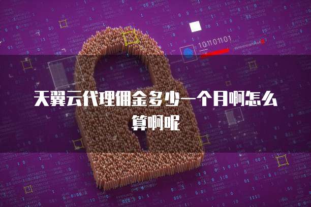 天翼云代理佣金多少一个月啊怎么算啊呢