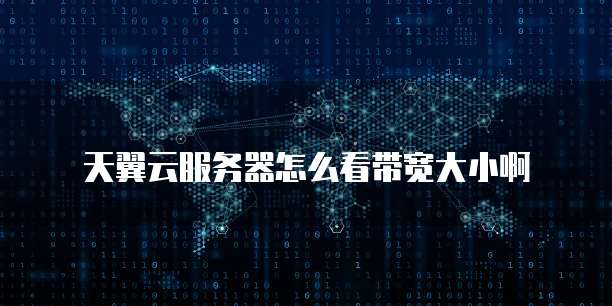 天翼云服务器怎么看带宽大小啊
