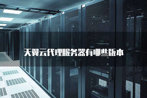 天翼云代理服务器有哪些版本