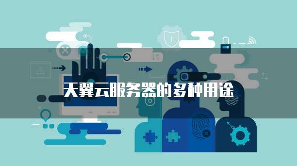 天翼云服务器的多种用途