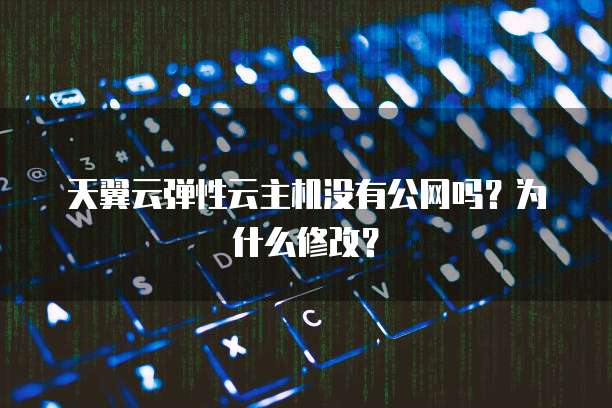 天翼云弹性云主机没有公网吗?为什么修改?