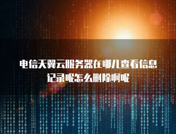 电信天翼云服务器在哪儿查看信息记录呢怎么删除啊呢