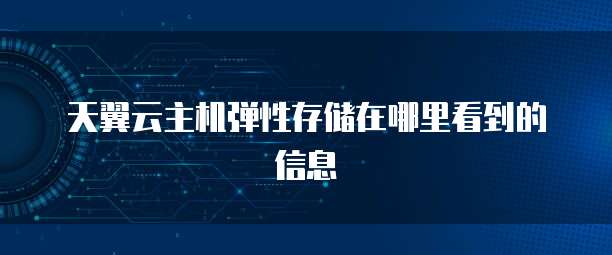 天翼云主机弹性存储在哪里看到的信息
