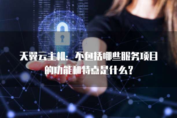 天翼云主机:不包括哪些服务项目的功能和特点是什么?