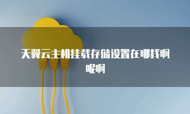 天翼云主机挂载存储设置在哪找啊呢啊