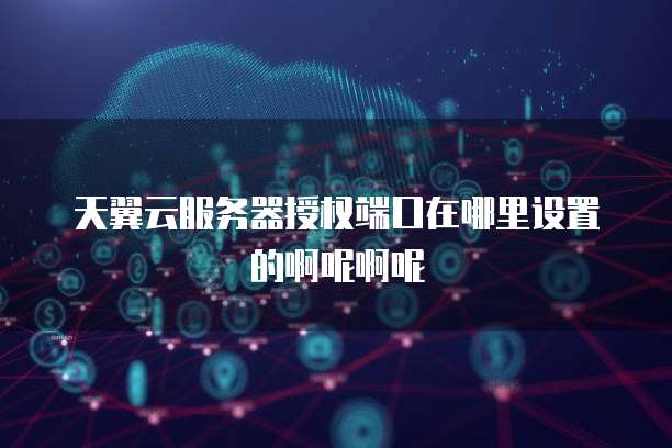 天翼云服务器授权端口在哪里设置的啊呢啊呢