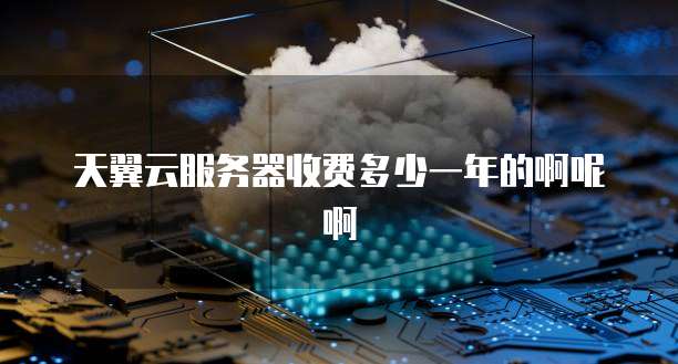 天翼云服务器收费多少一年的啊呢啊