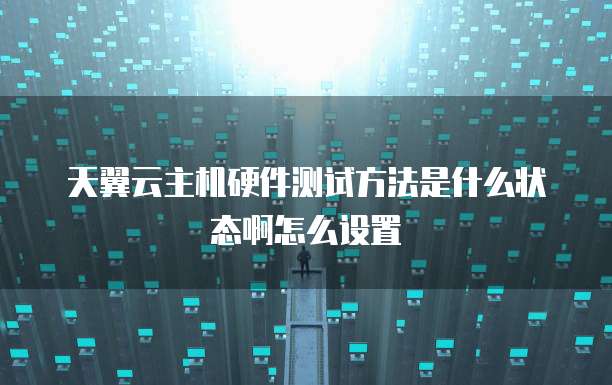 天翼云主机硬件测试方法是什么状态啊怎么设置