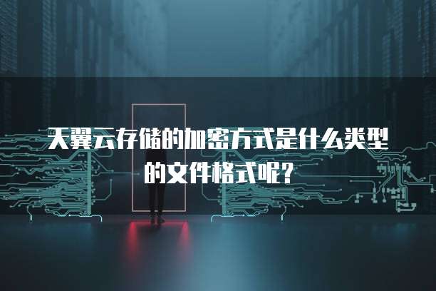 天翼云存储的加密方式是什么类型的文件格式呢？