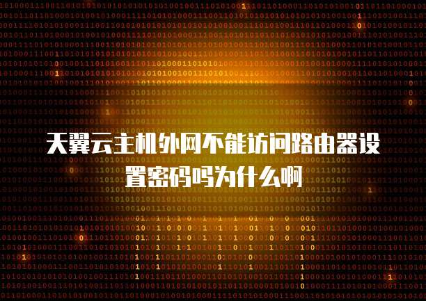 天翼云主机外网不能访问路由器设置密码吗为什么啊