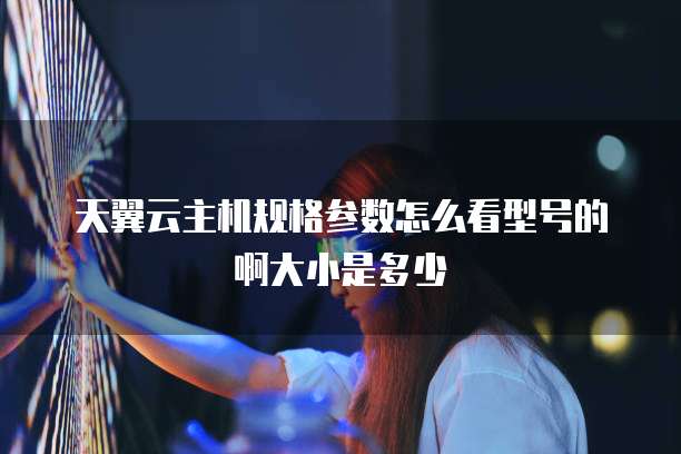 天翼云主机规格参数怎么看型号的啊大小是多少