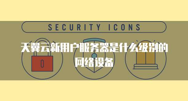 天翼云新用户服务器是什么级别的网络设备