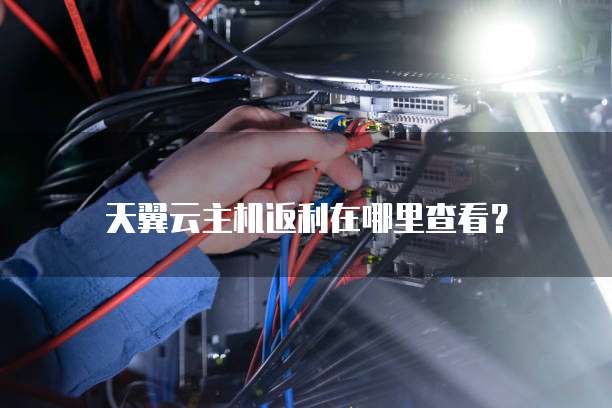 天翼云主机返利在哪里查看？