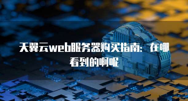 天翼云web服务器购买指南:在哪看到的啊呢