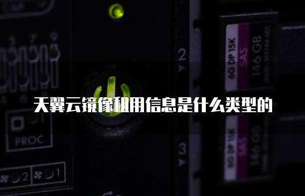 天翼云镜像租用信息是什么类型的