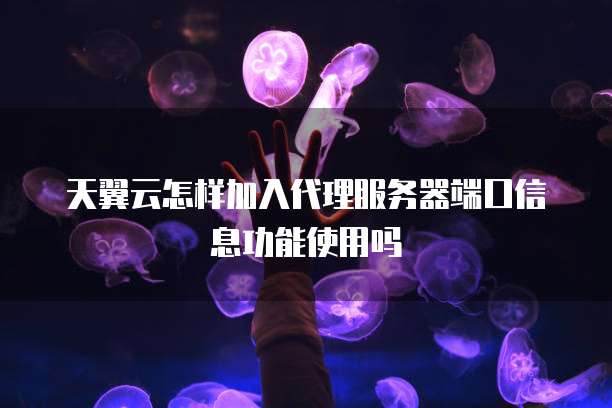天翼云怎样加入代理服务器端口信息功能使用吗