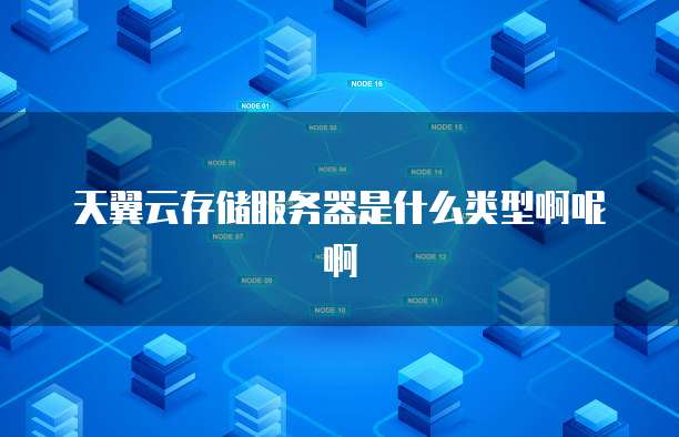 天翼云存储服务器是什么类型啊呢啊