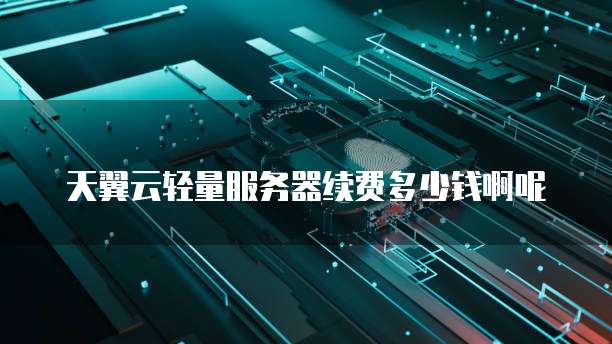 天翼云轻量服务器续费多少钱啊呢