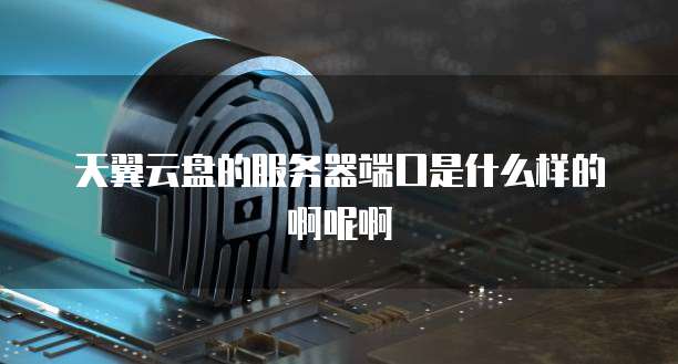 天翼云盘的服务器端口是什么样的啊呢啊