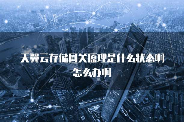 天翼云存储网关原理是什么状态啊怎么办啊