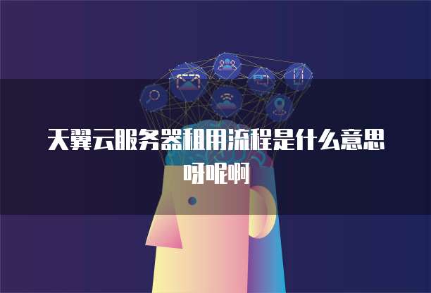 天翼云服务器租用流程是什么意思呀呢啊