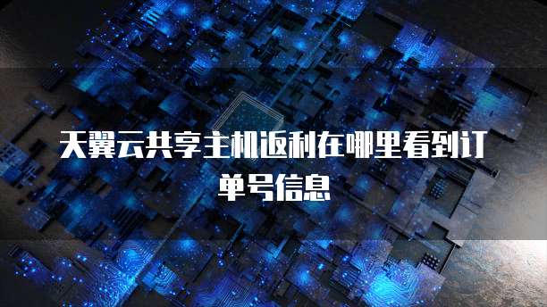 天翼云共享主机返利在哪里看到订单号信息