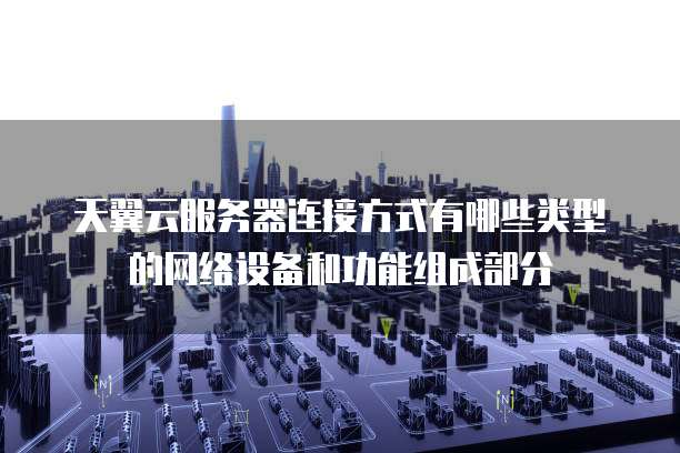天翼云服务器连接方式有哪些类型的网络设备和功能组成部分
