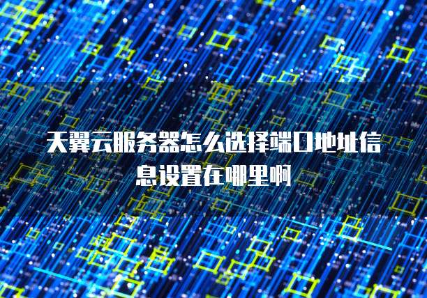 天翼云服务器怎么选择端口地址信息设置在哪里啊