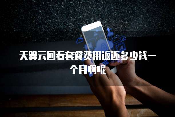 天翼云回看套餐费用返还多少钱一个月啊呢