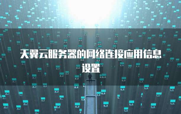 天翼云服务器的网络连接应用信息设置