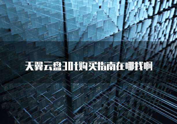 天翼云盘30t购买指南在哪找啊