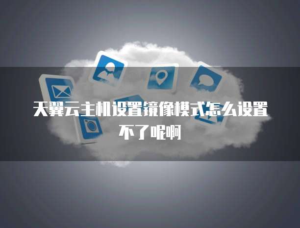 天翼云主机设置镜像模式怎么设置不了呢啊