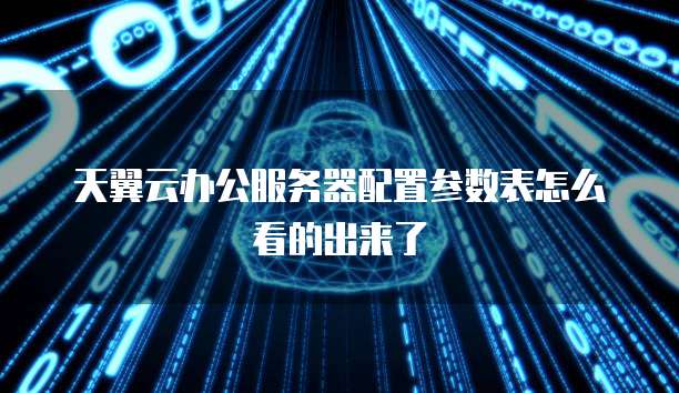 天翼云办公服务器配置参数表怎么看的出来了