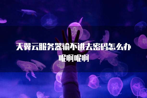天翼云服务器输不进去密码怎么办呢啊呢啊