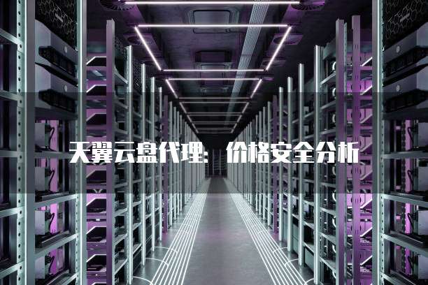 天翼云盘代理：价格安全分析