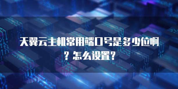 天翼云主机常用端口号是多少位啊？怎么设置？