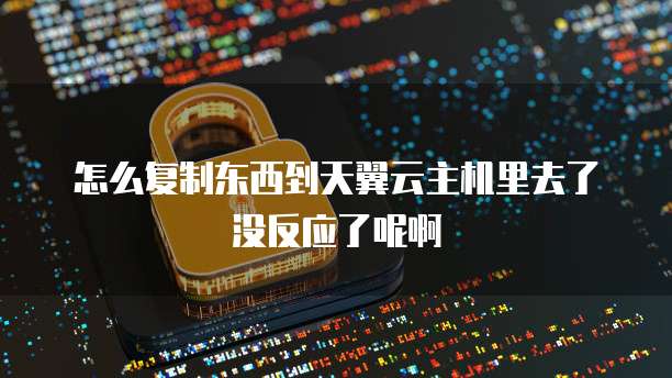怎么复制东西到天翼云主机里去了没反应了呢啊