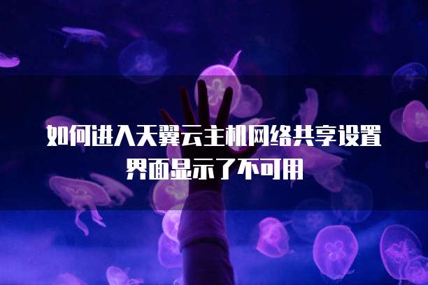 如何进入天翼云主机网络共享设置界面显示了不可用