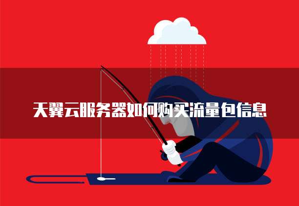 天翼云服务器如何购买流量包信息