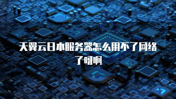 天翼云日本服务器怎么用不了网络了呀啊