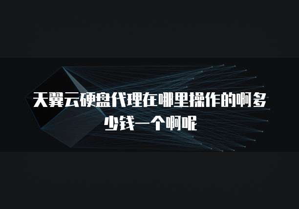 天翼云硬盘代理在哪里操作的啊多少钱一个啊呢