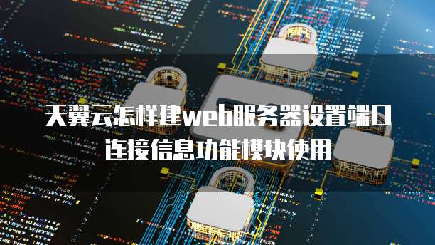 天翼云怎样建web服务器设置端口连接信息功能模块使用