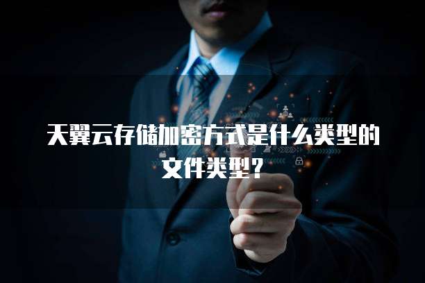天翼云存储加密方式是什么类型的文件类型?
