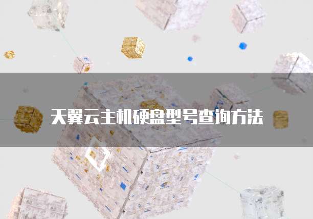 天翼云主机硬盘型号查询方法