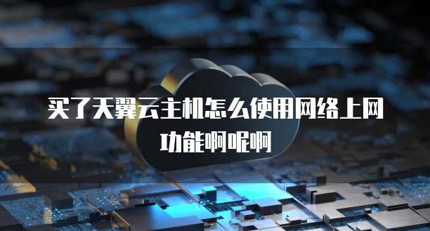 买了天翼云主机怎么使用网络上网功能啊呢啊